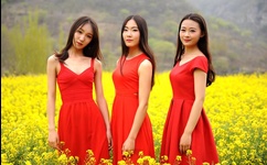 索多玛的120天 快播